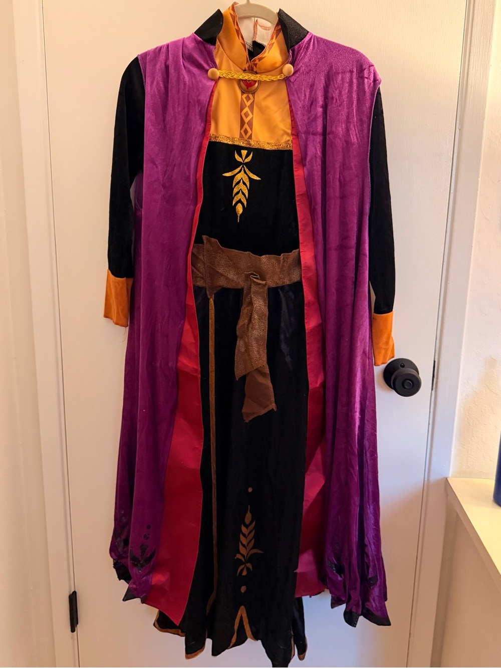 Disney Frozen 2 Anna Halloween Costume - Women Small